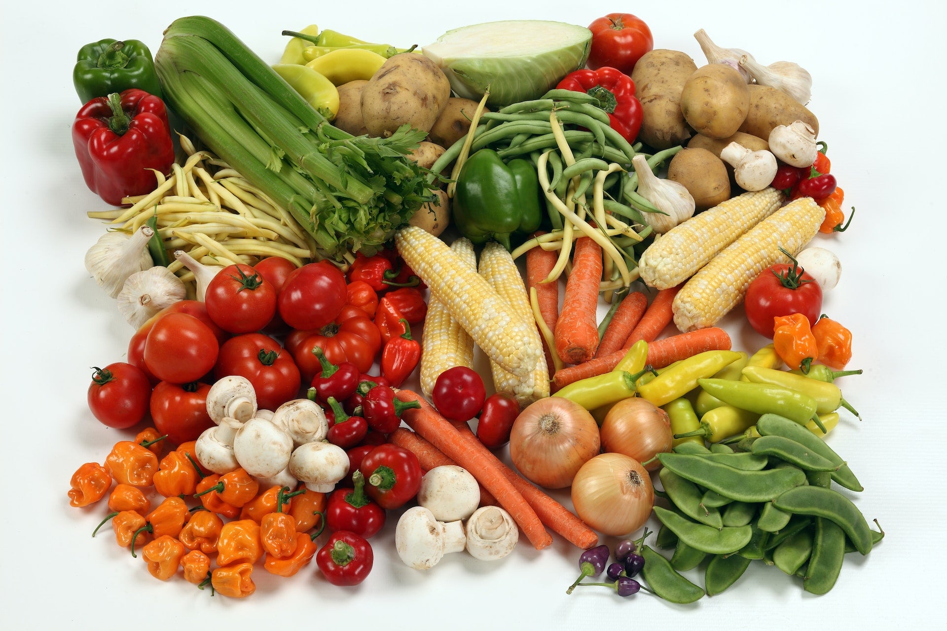 Gemüse für die Hundeernährung
