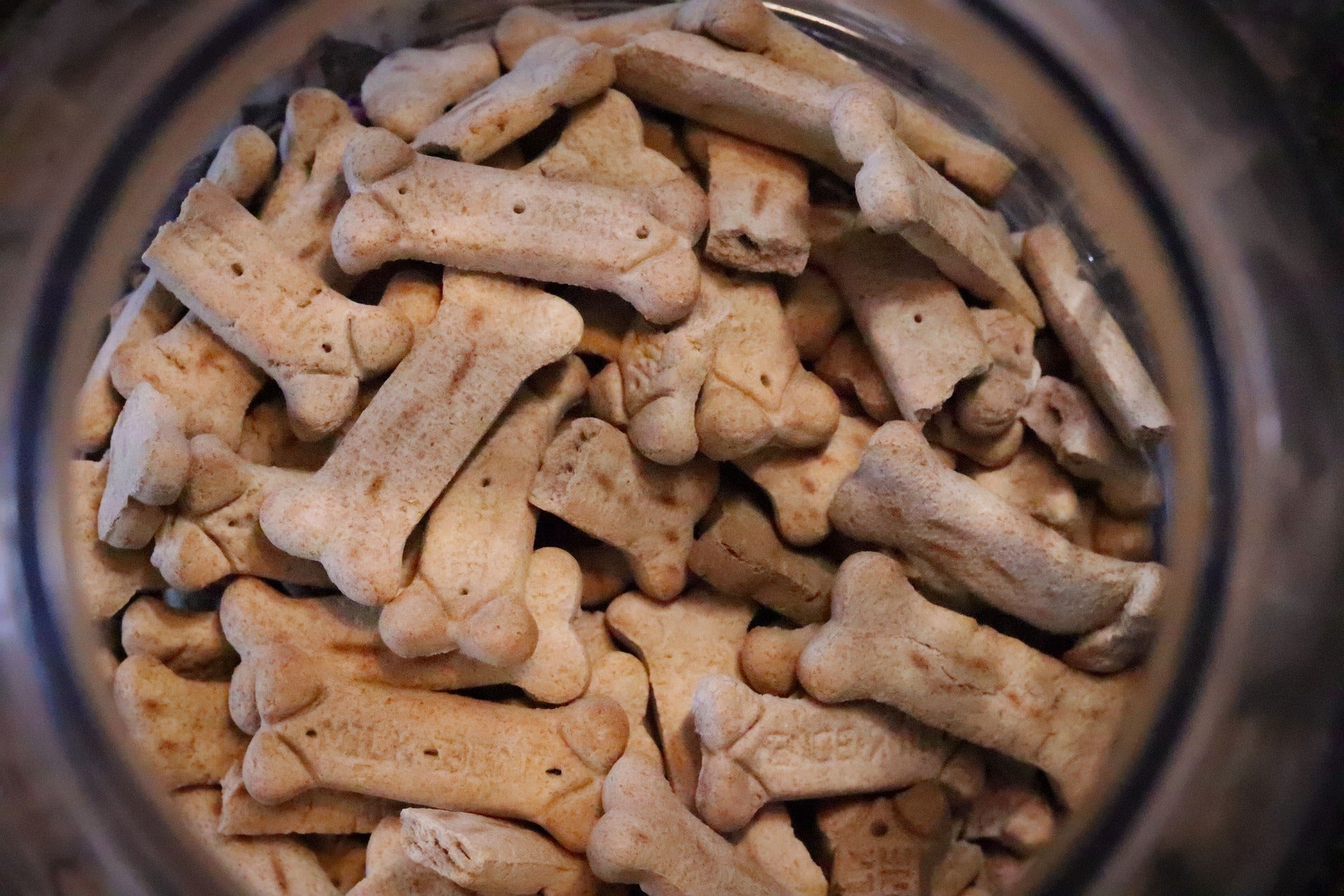 Hunde-Leckereien