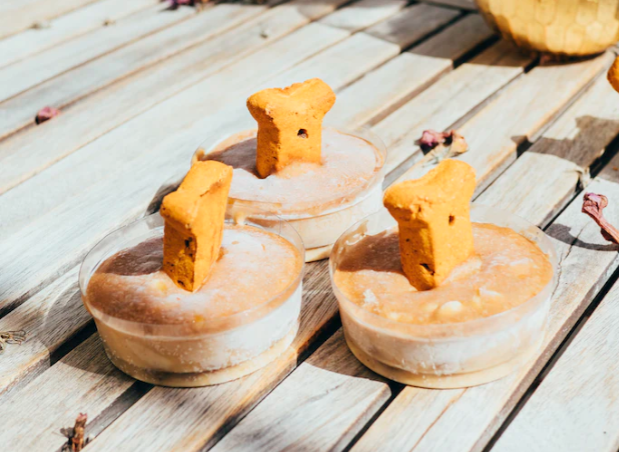 Hundeleckerlis: Wie du gesunde Snacks für deinen Hund selber machst