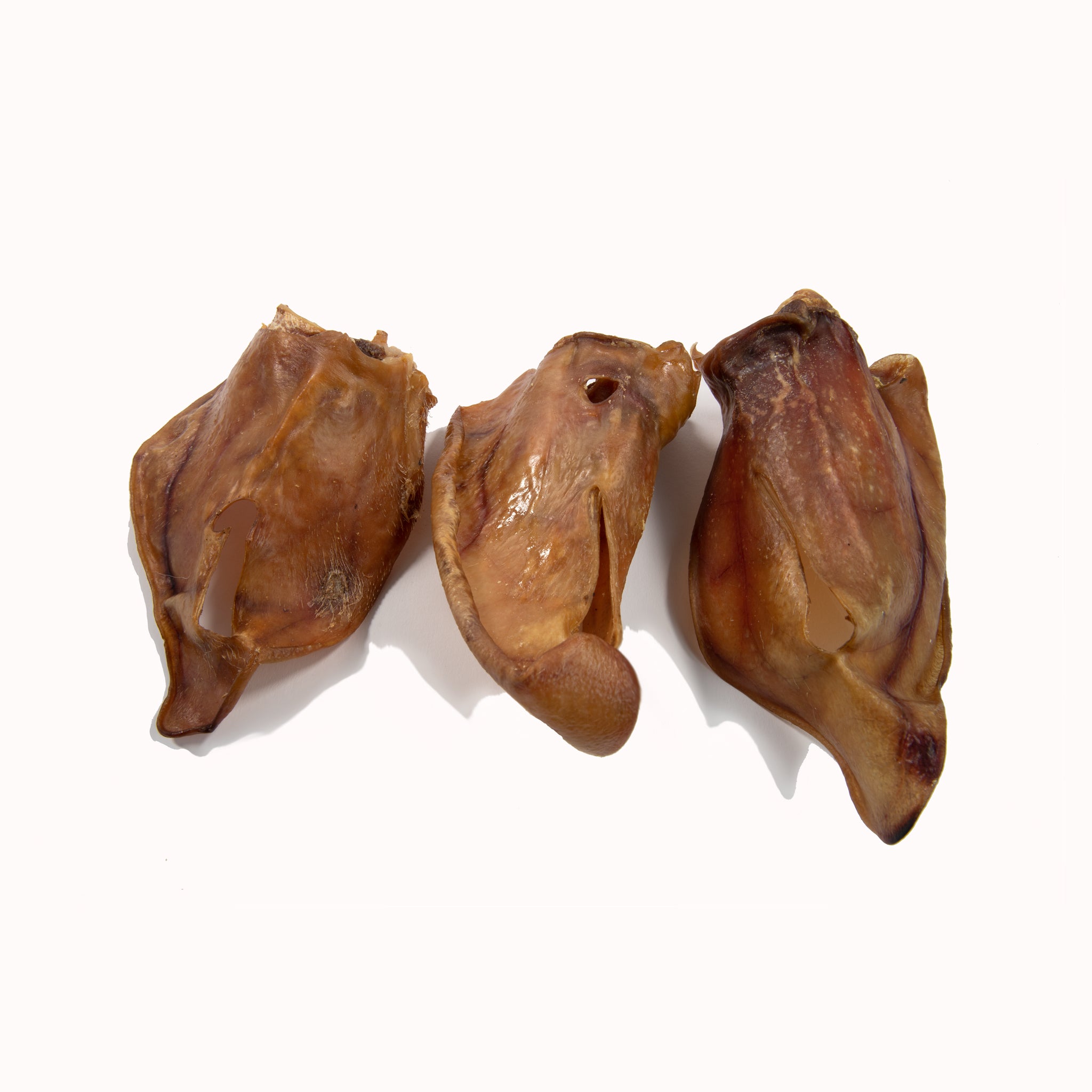 Getrocknete Schweineohren für Hunde: beliebter und gesunder Snack ... Getrocknete Schweineohren für Hunde: beliebter und gesunder Snack ...