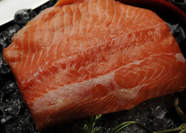 Hundefutter mit Fisch: Welche Fischsorten für Hunde am besten geeignet sind